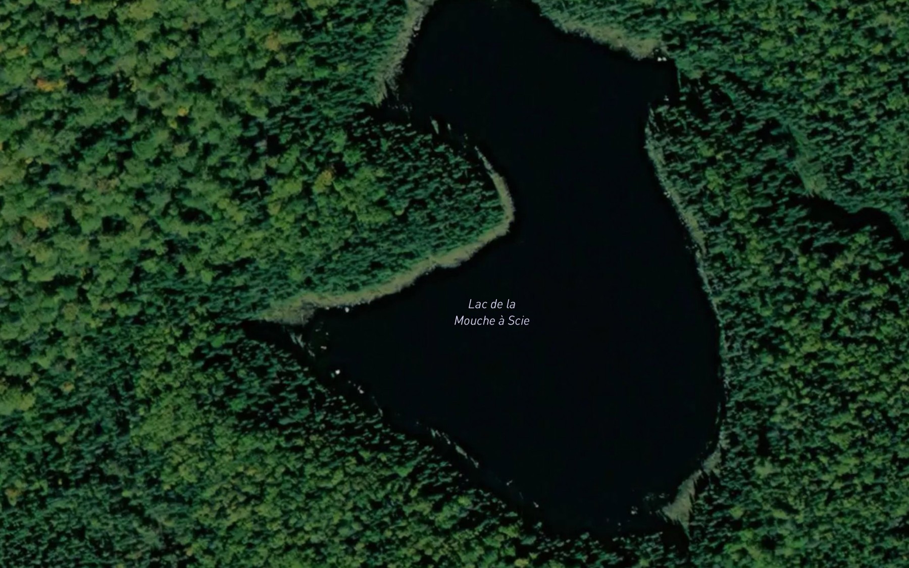 Satellite map of the Lac de la Mouche a Scie