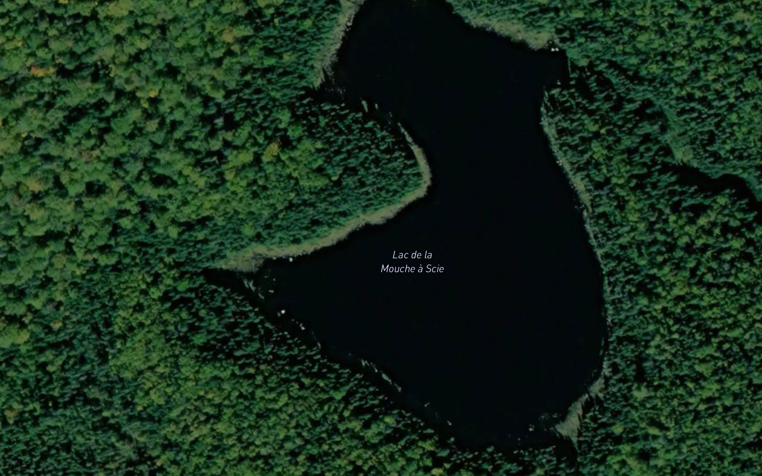 Lac de la Mouche a Scie