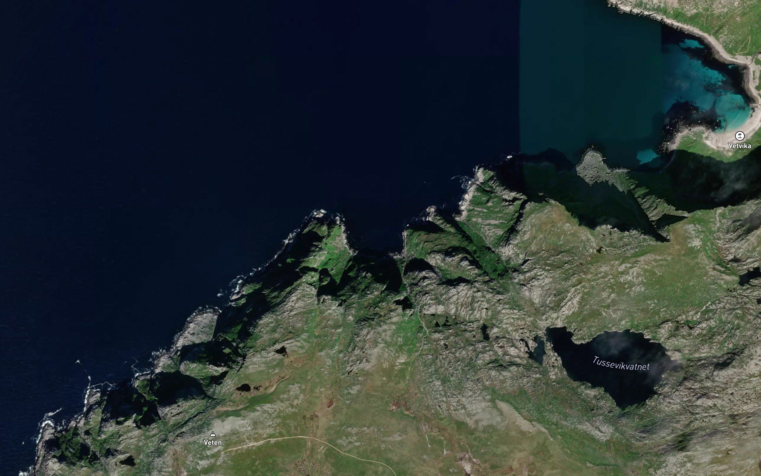 Tussevika