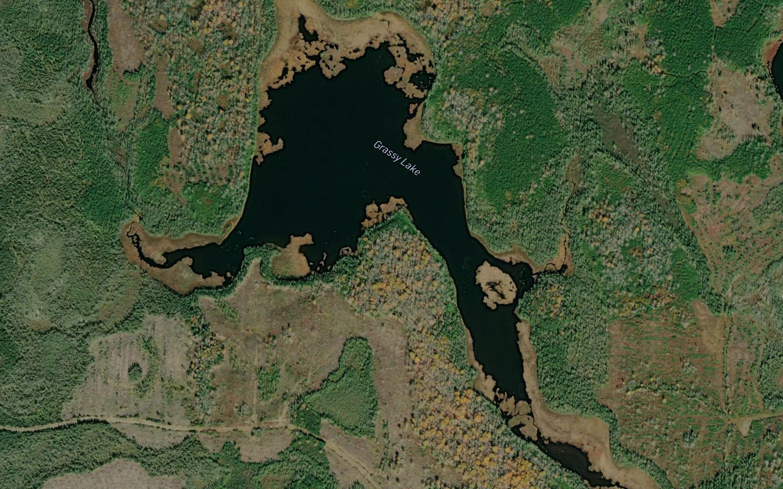 Grassy Lake