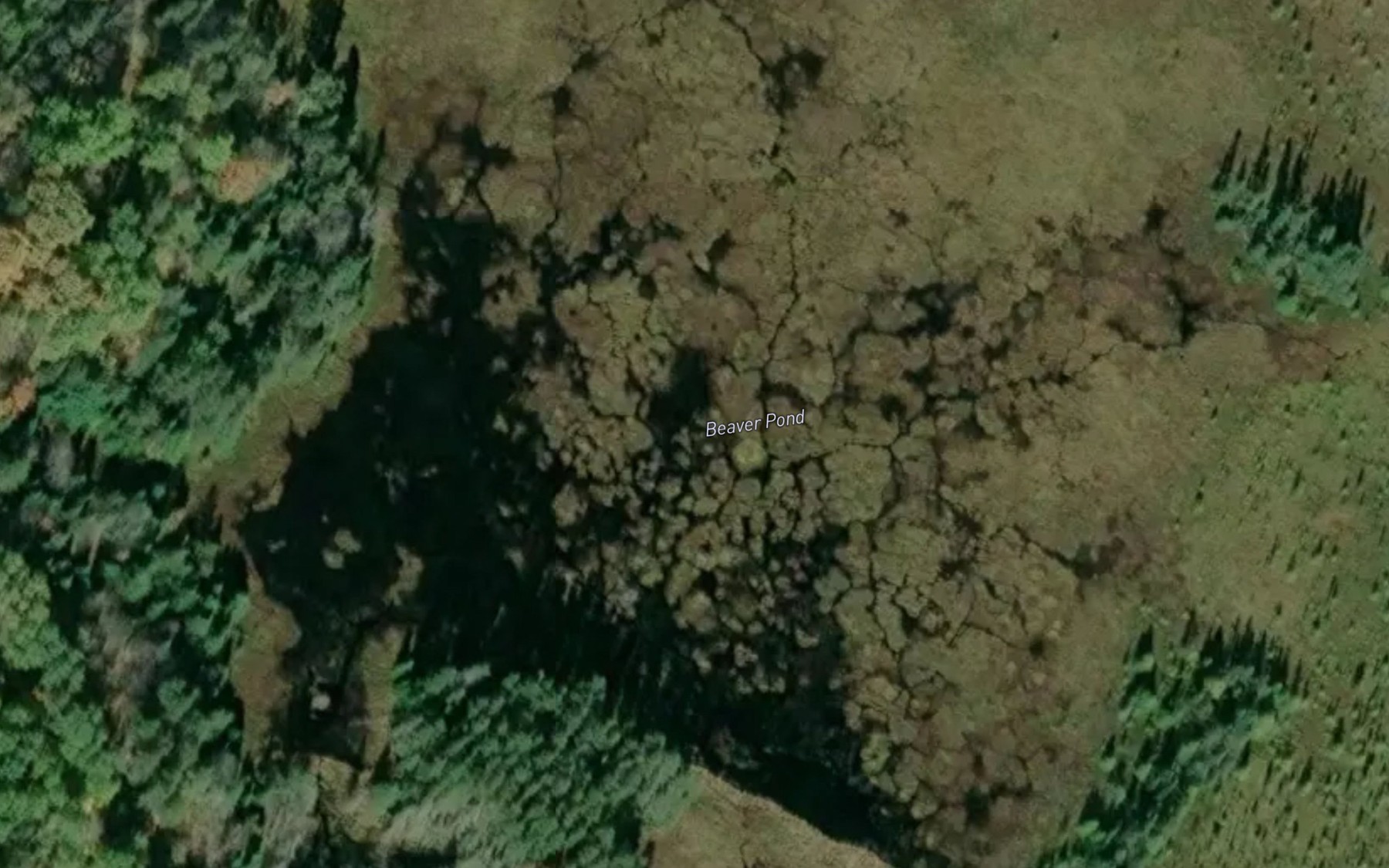 Satellite map of the Beaver Pond