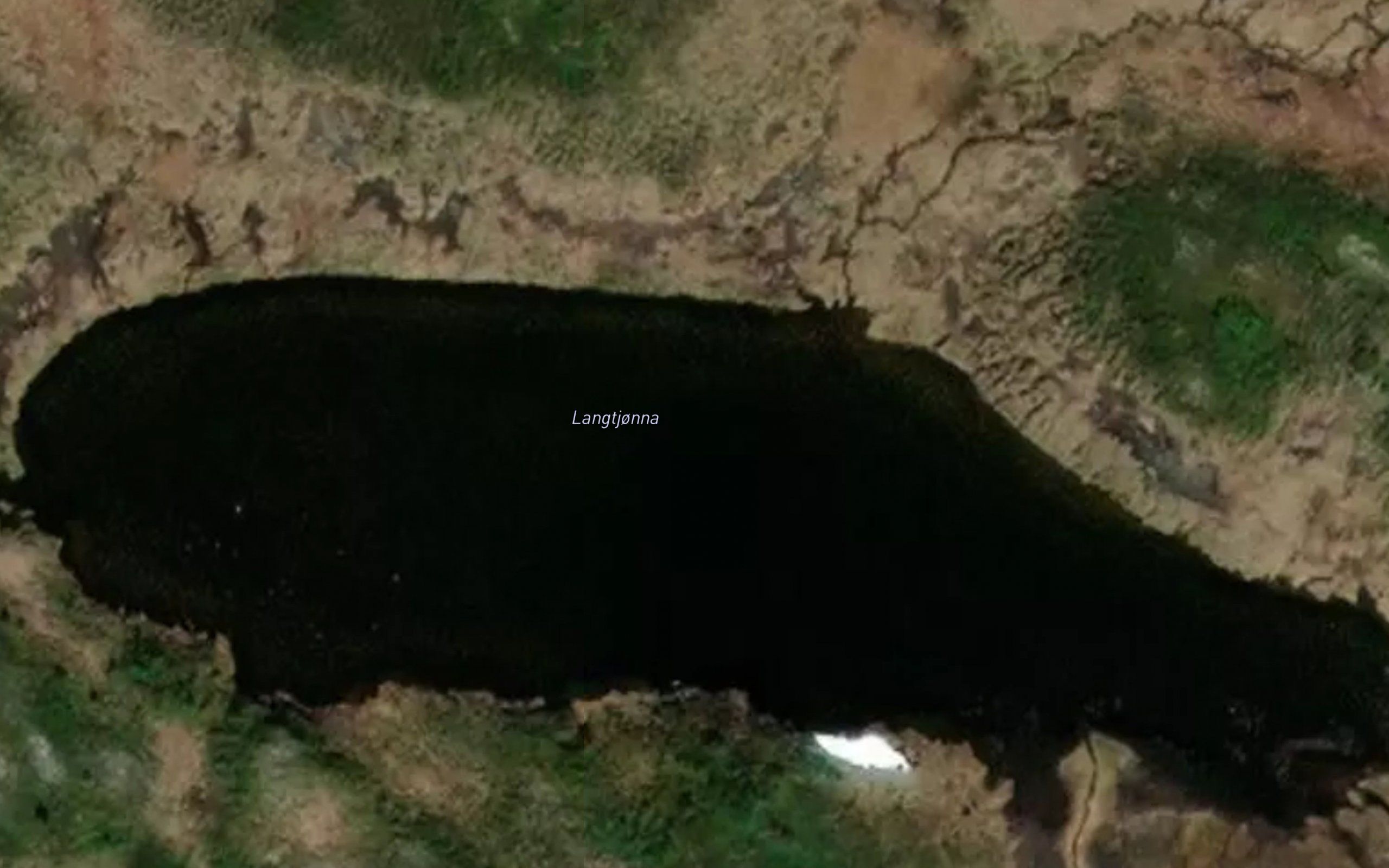 Langtjorna