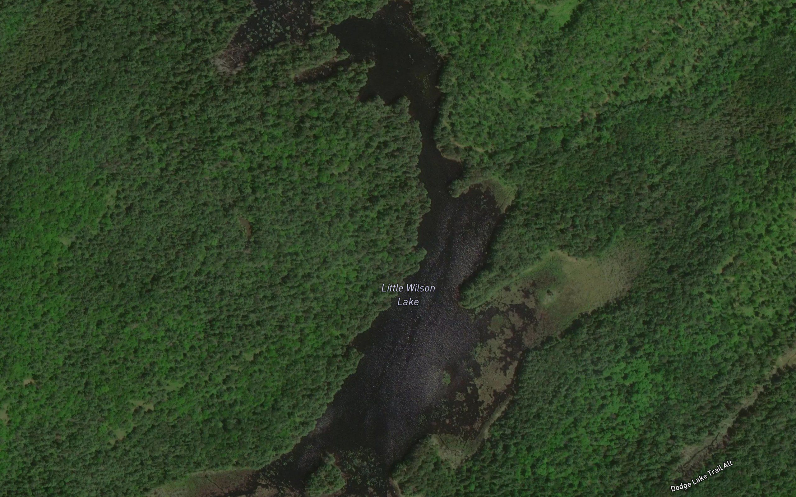 Little Wilson Lake