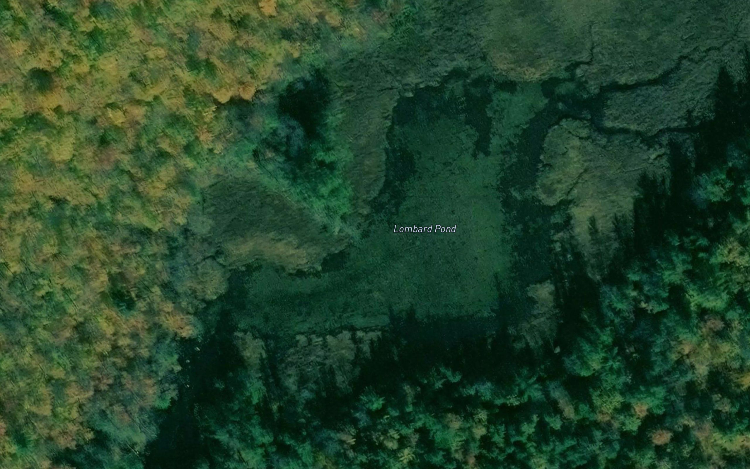 Lombard Pond
