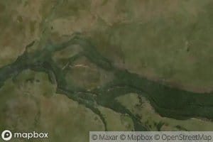 Canada del Sauce Solo