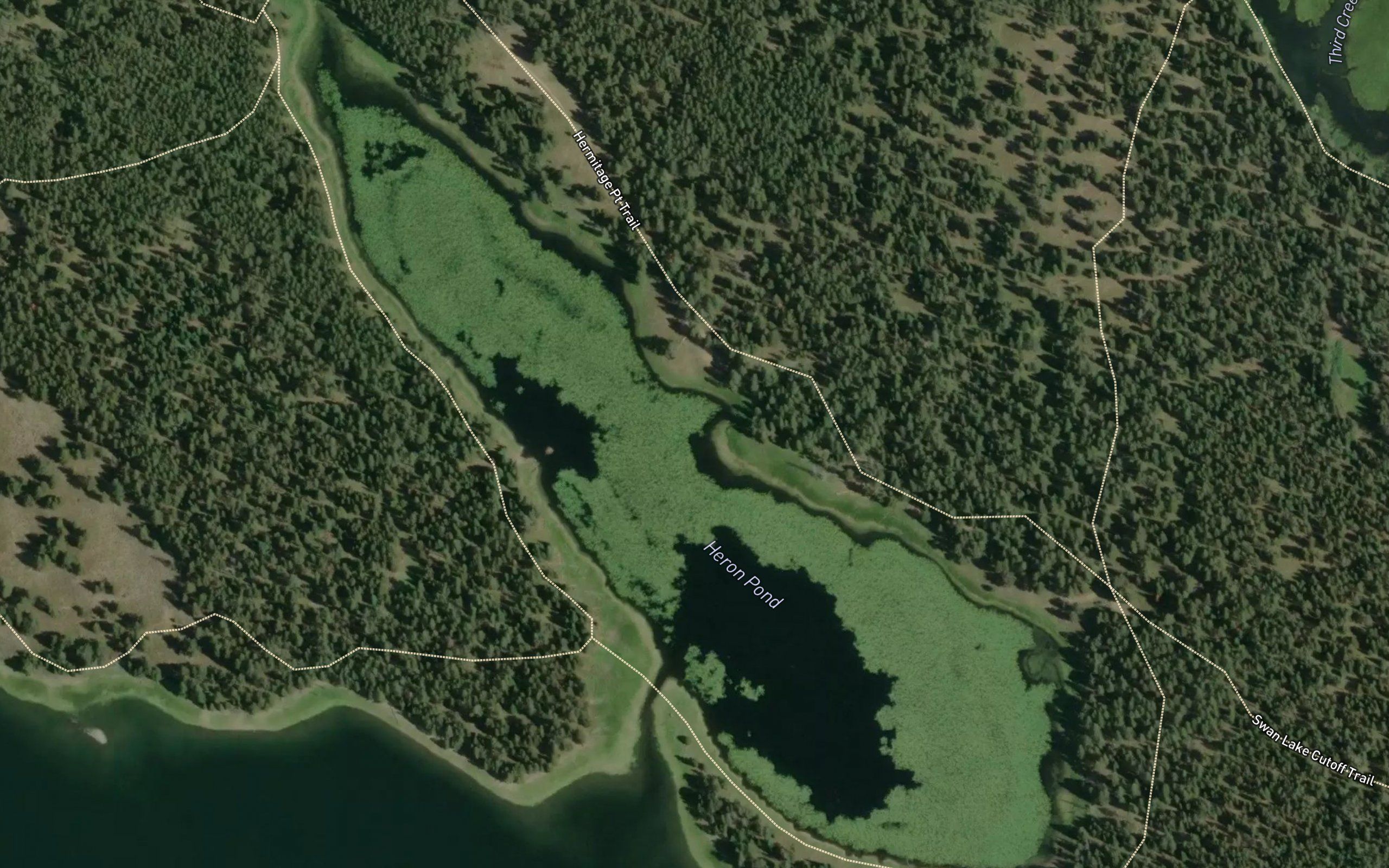 Heron Pond