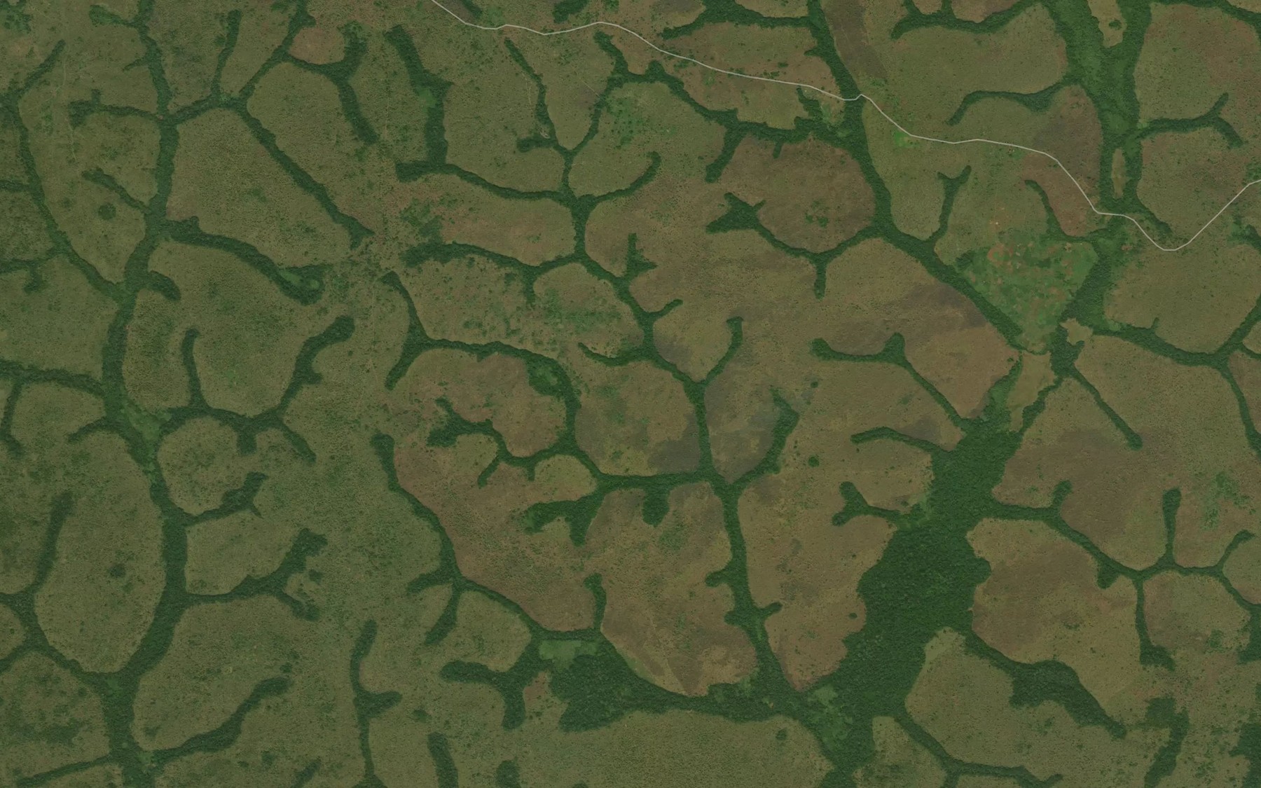 Satellite map of the Naso