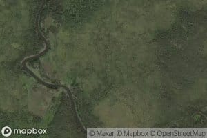 Reid Creek