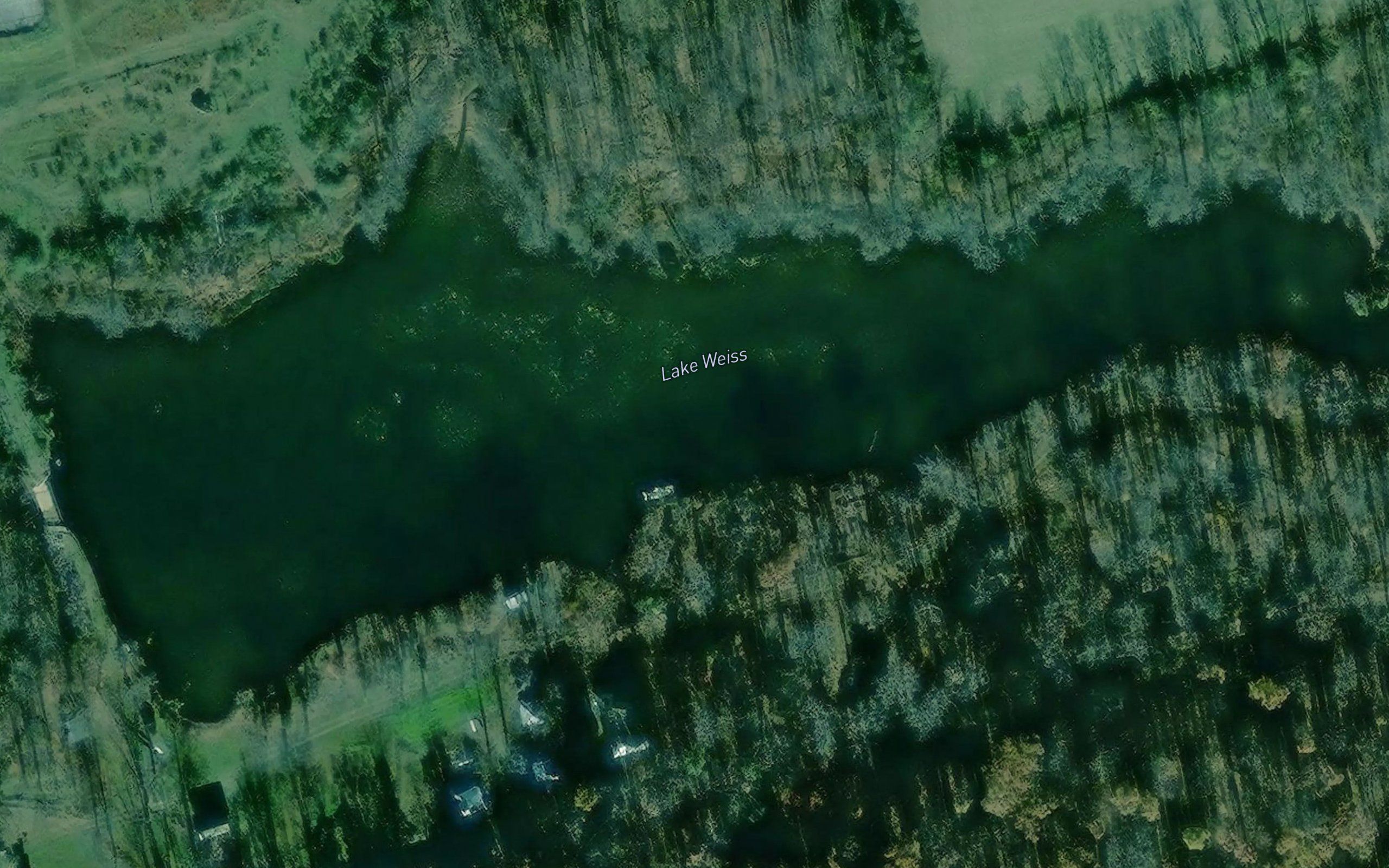 Lake Weiss