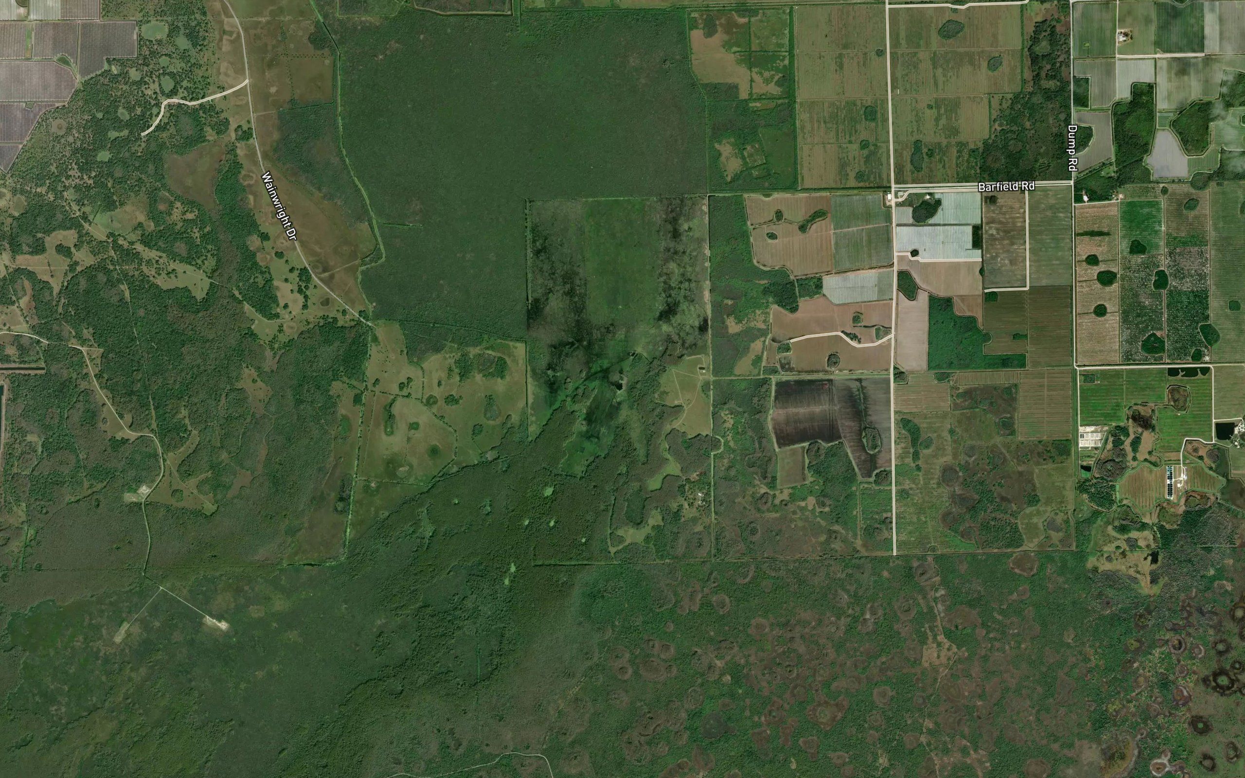Cattail Lake