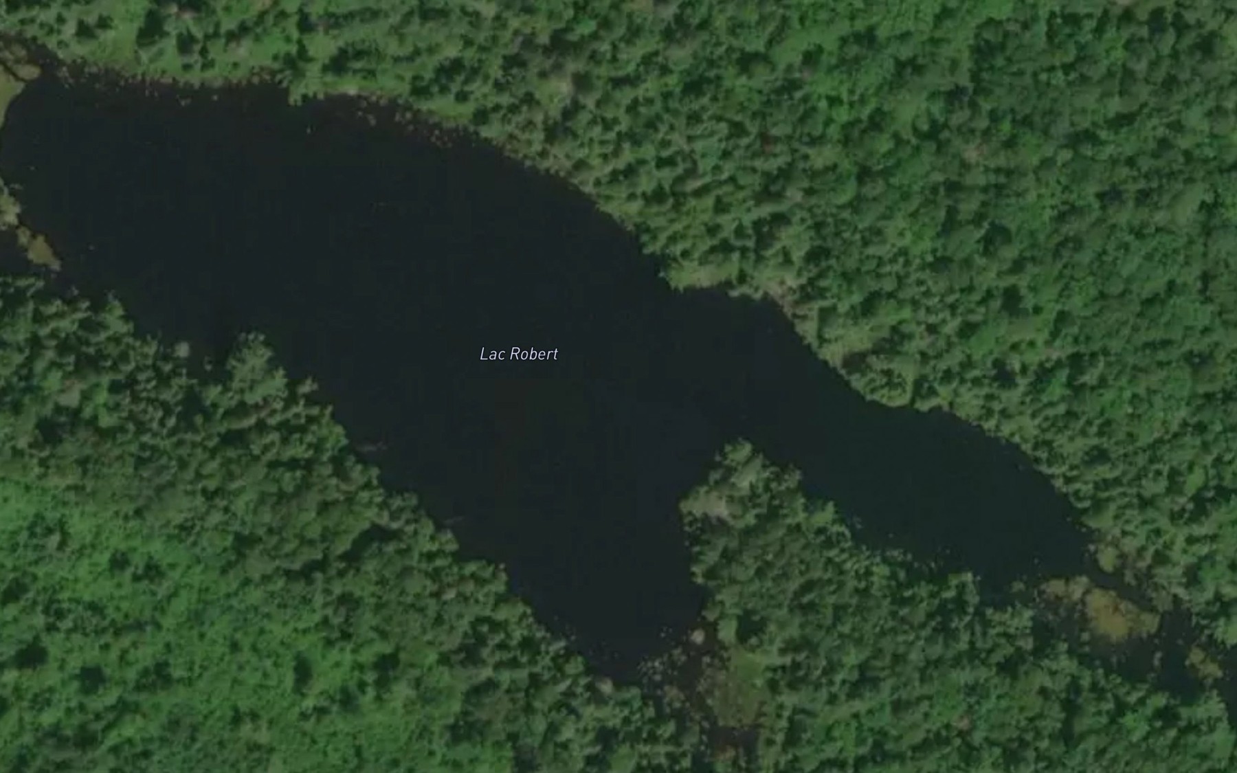 Satellite map of the Lac Robert
