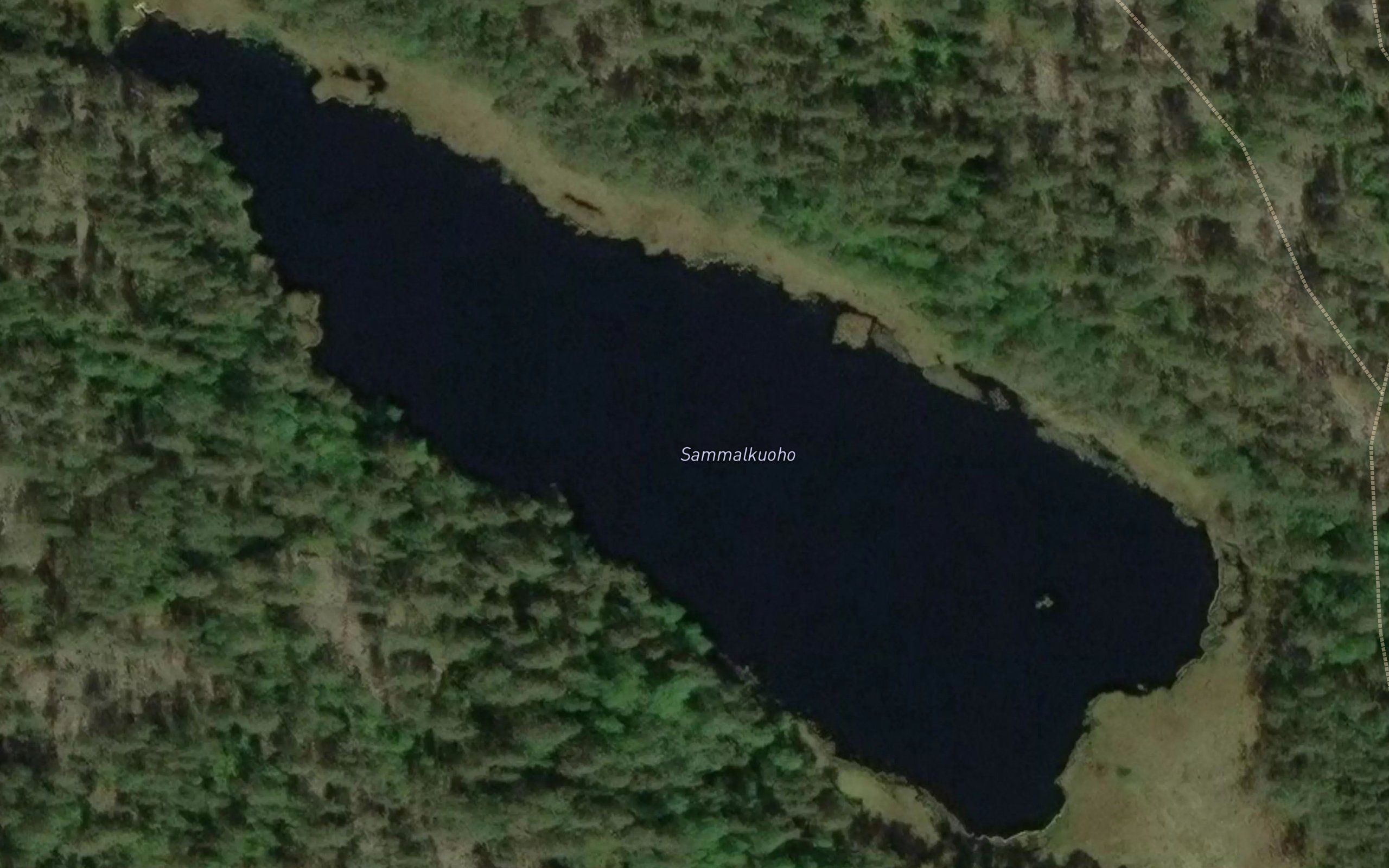 Sammalkuoho