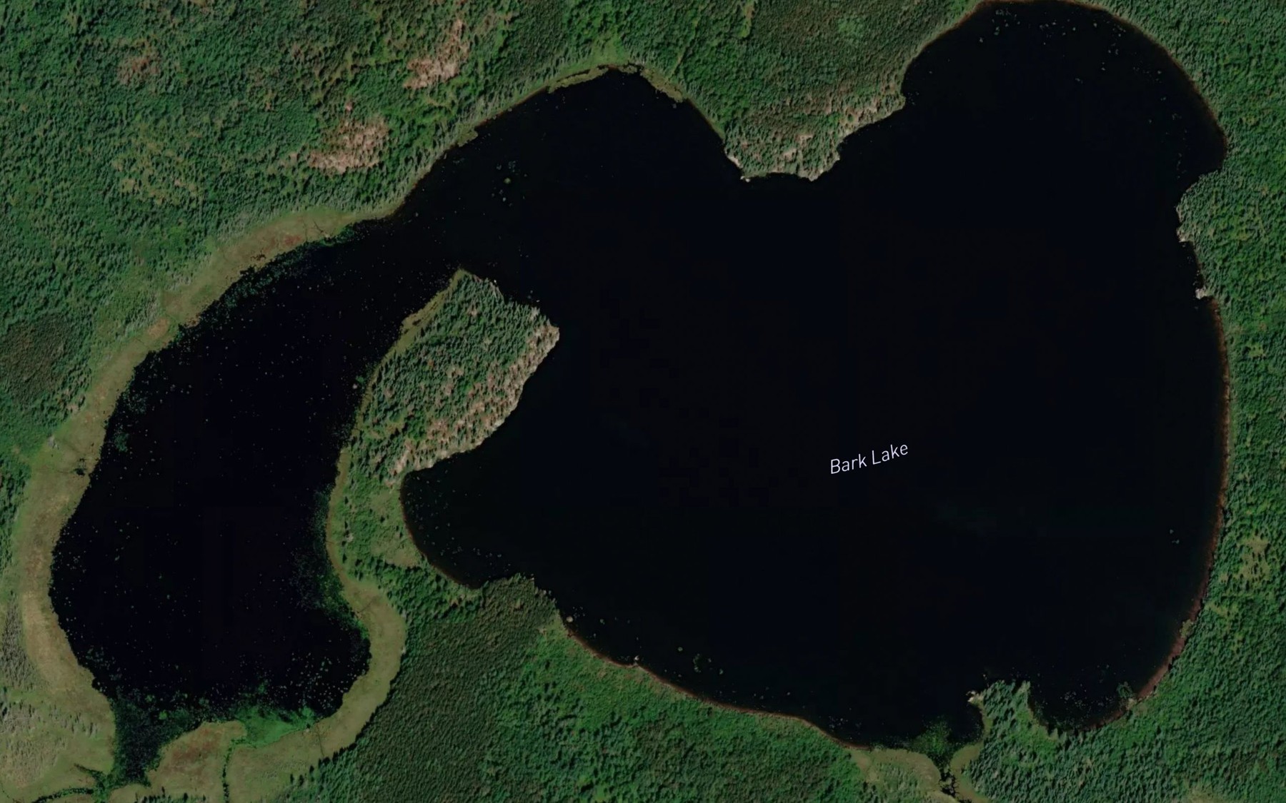 Satellite map of the Bark Lake