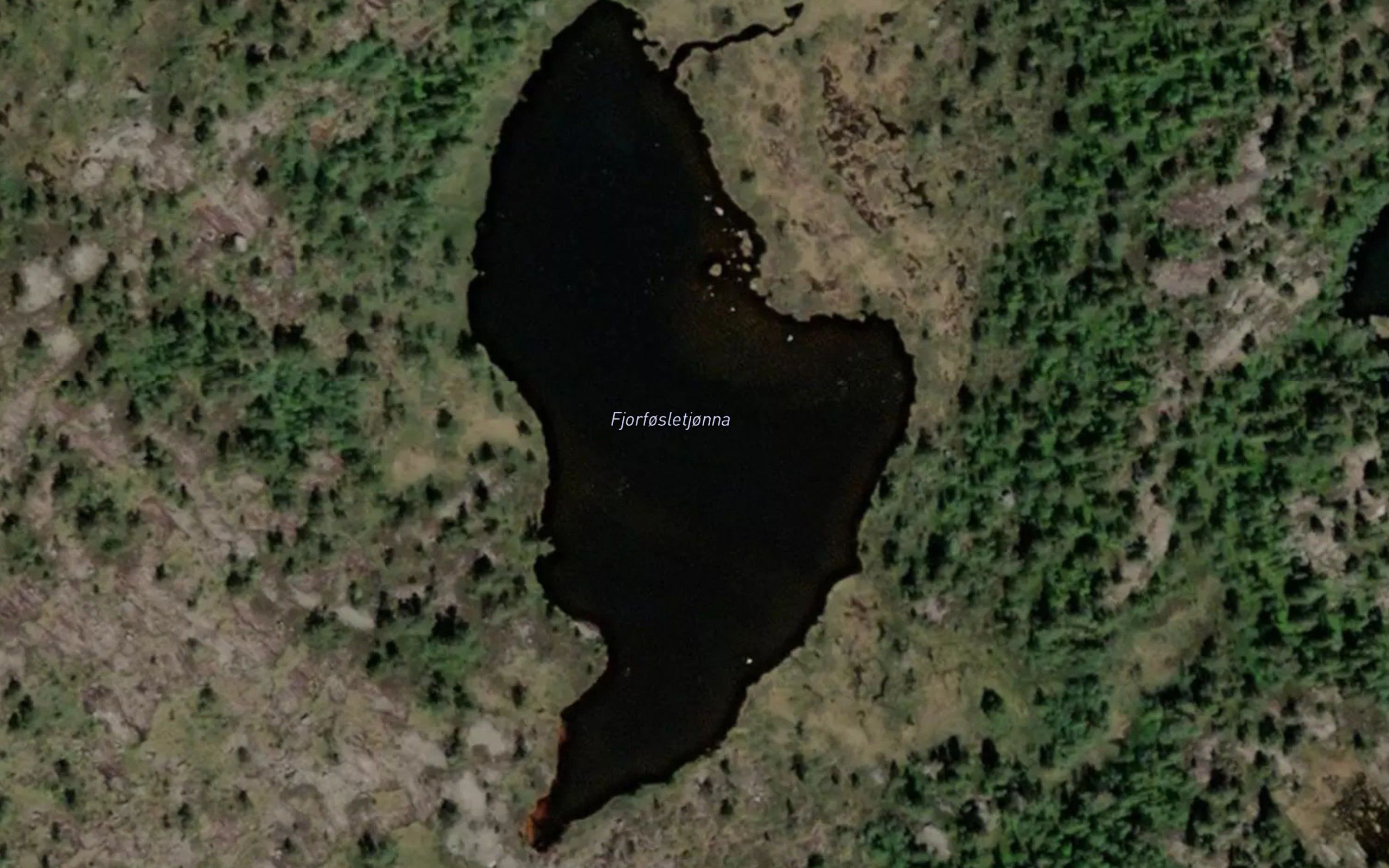Fjorfotletjorn