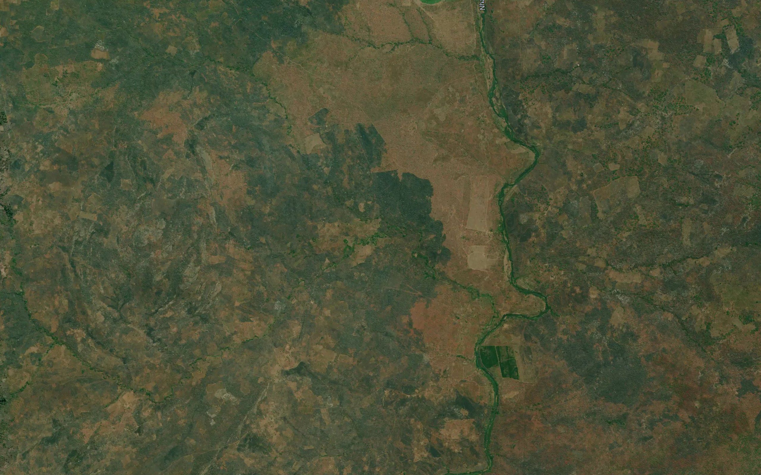 Nameringa