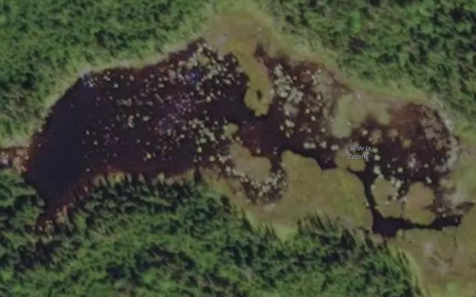 Satellite map of the Lac de la Cocotte