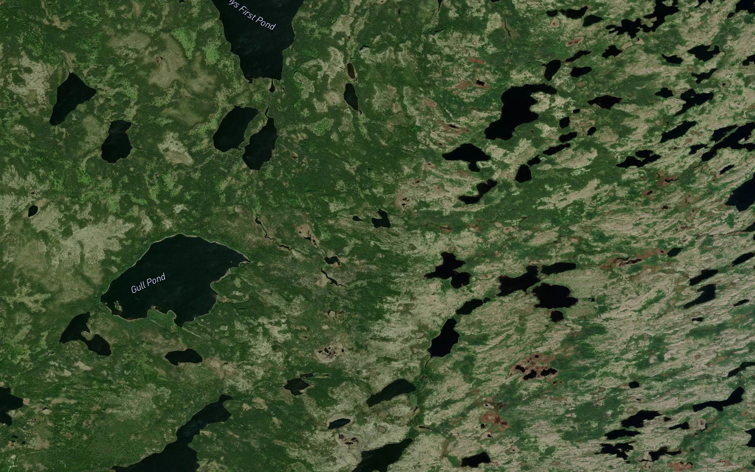 Western Bay Pond
