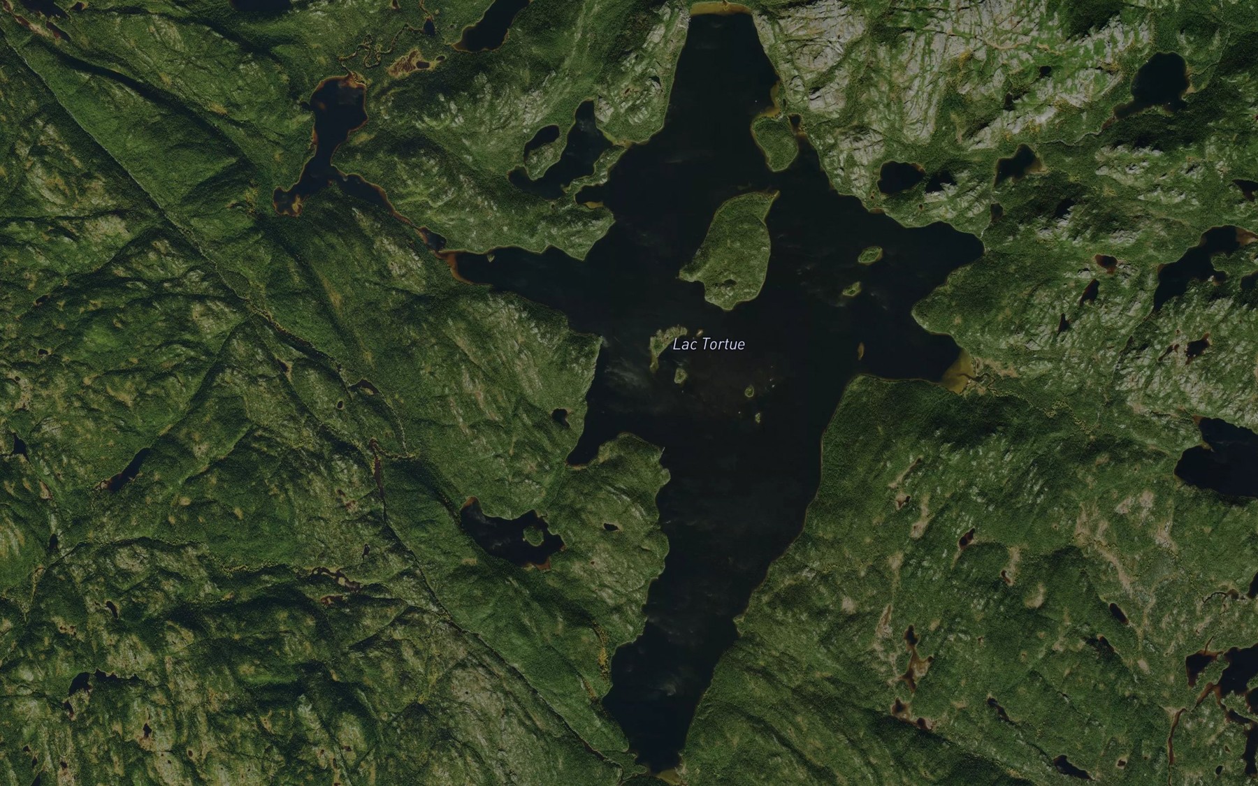 Satellite map of the Lac Tortue
