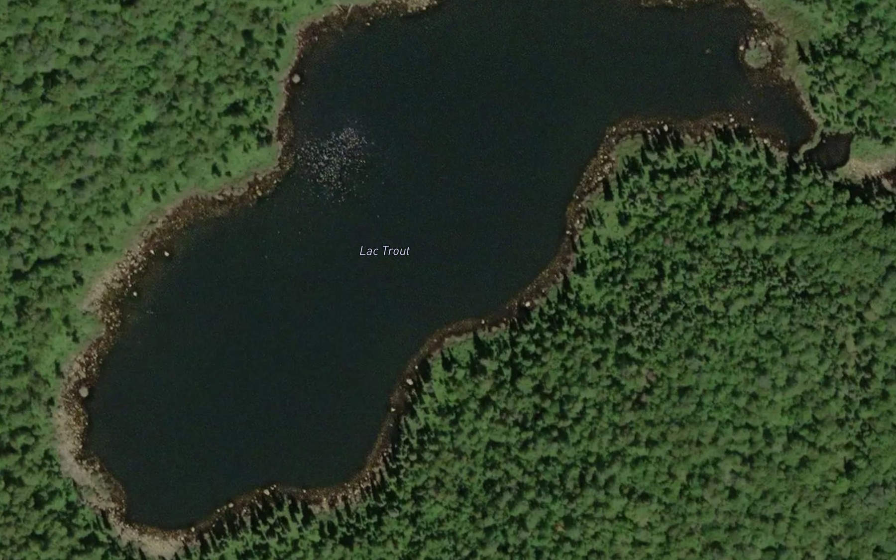 Satellite map of the Lac Trout
