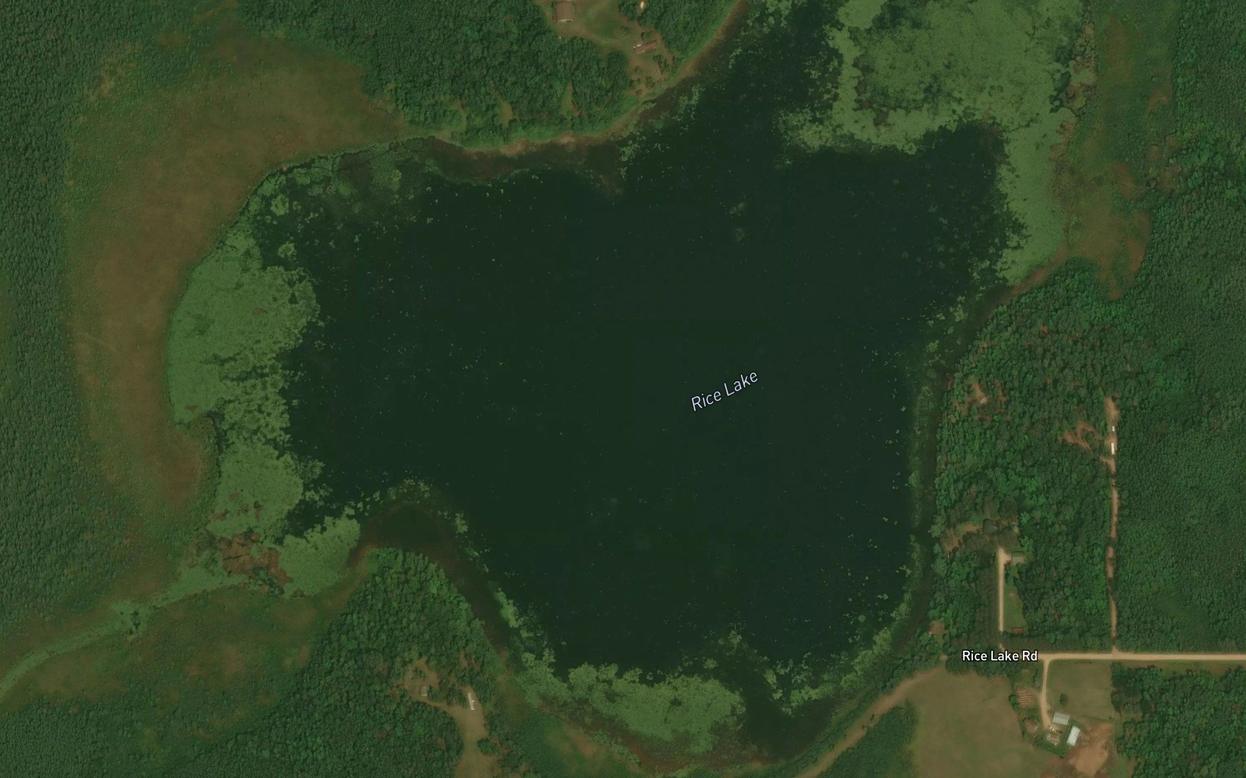 Rice Lake