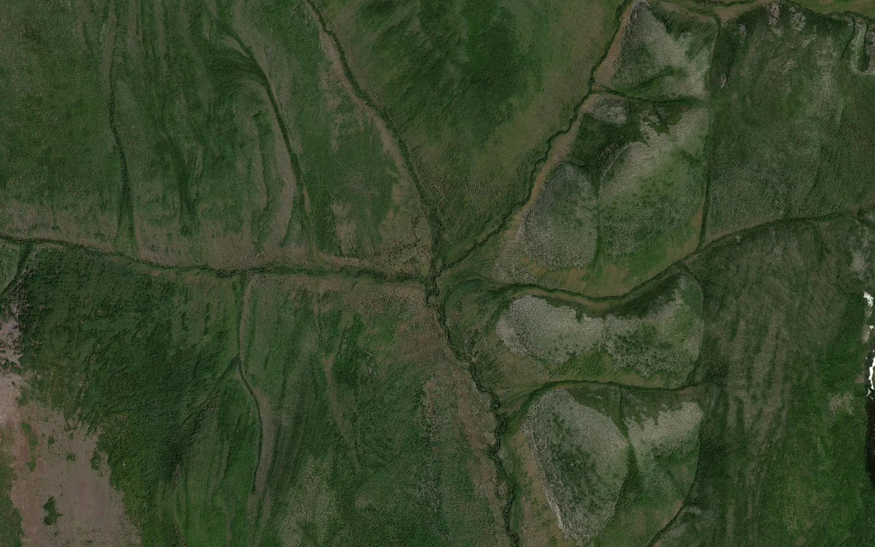 Satellite map of the Levyy Buruchan