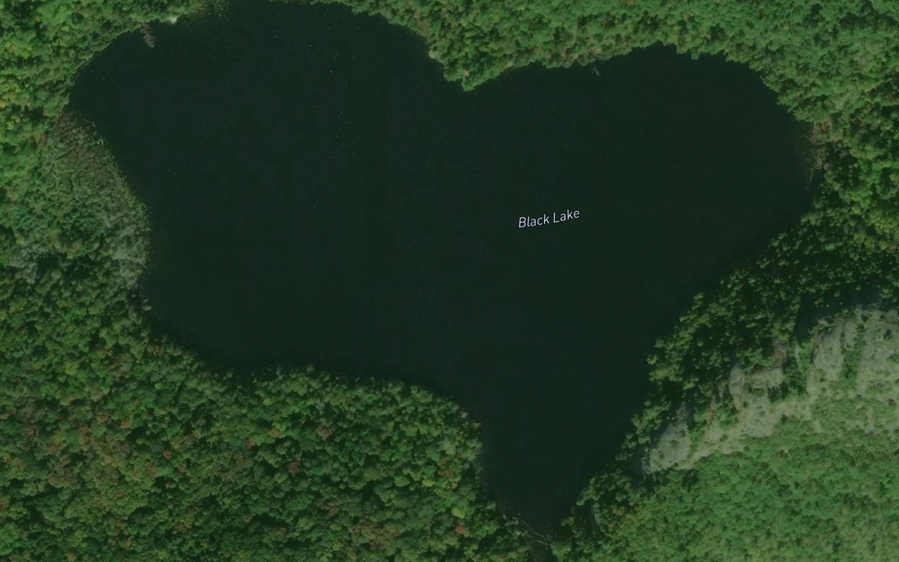 Satellite map of the Black Lake