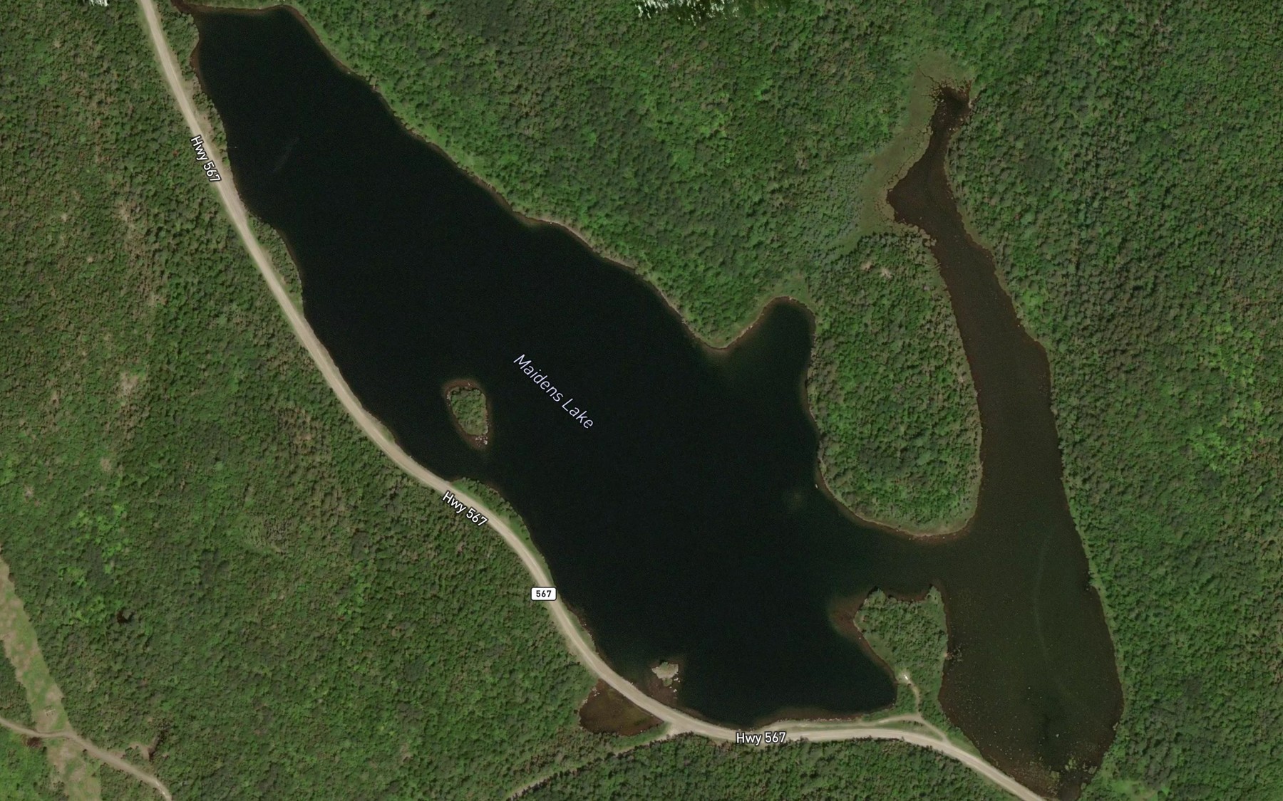 Satellite map of the Maidens Lake