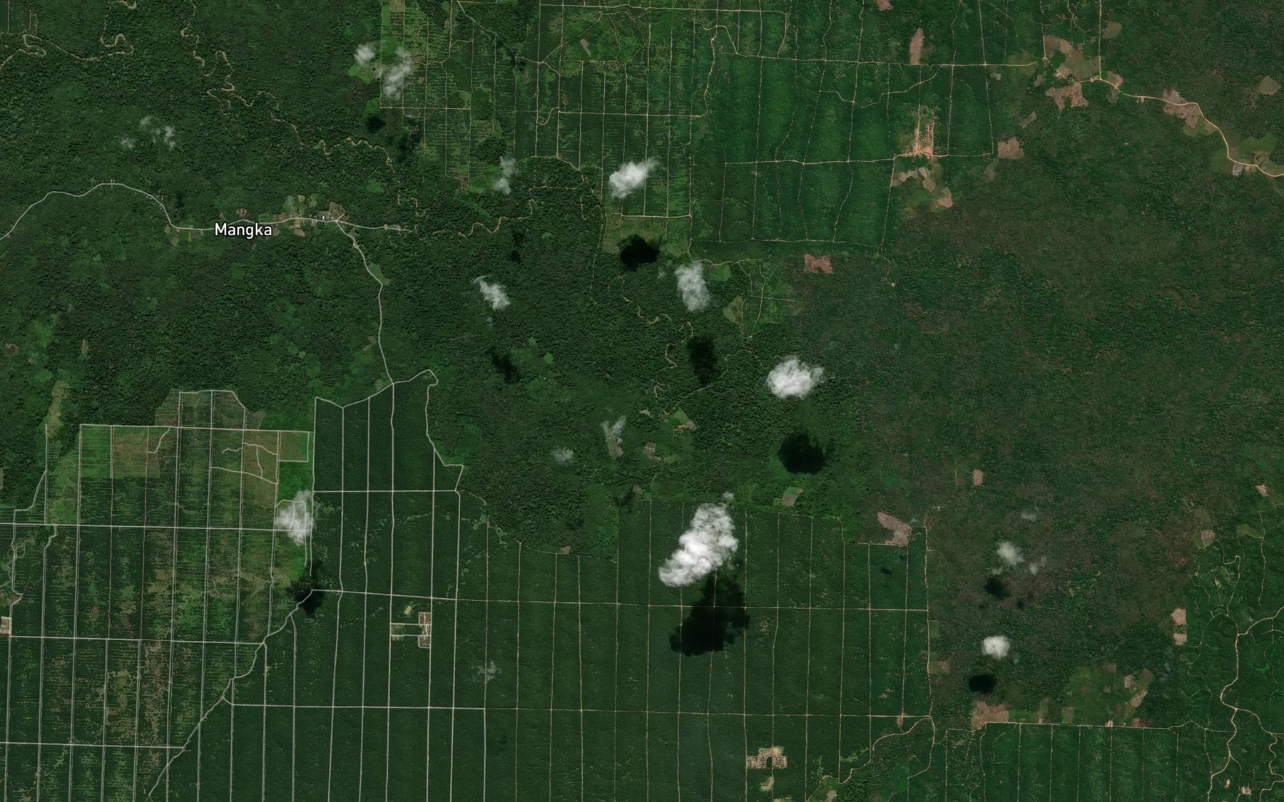 Satellite map of the Sungai Maluu