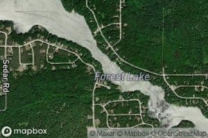 Forest Lake