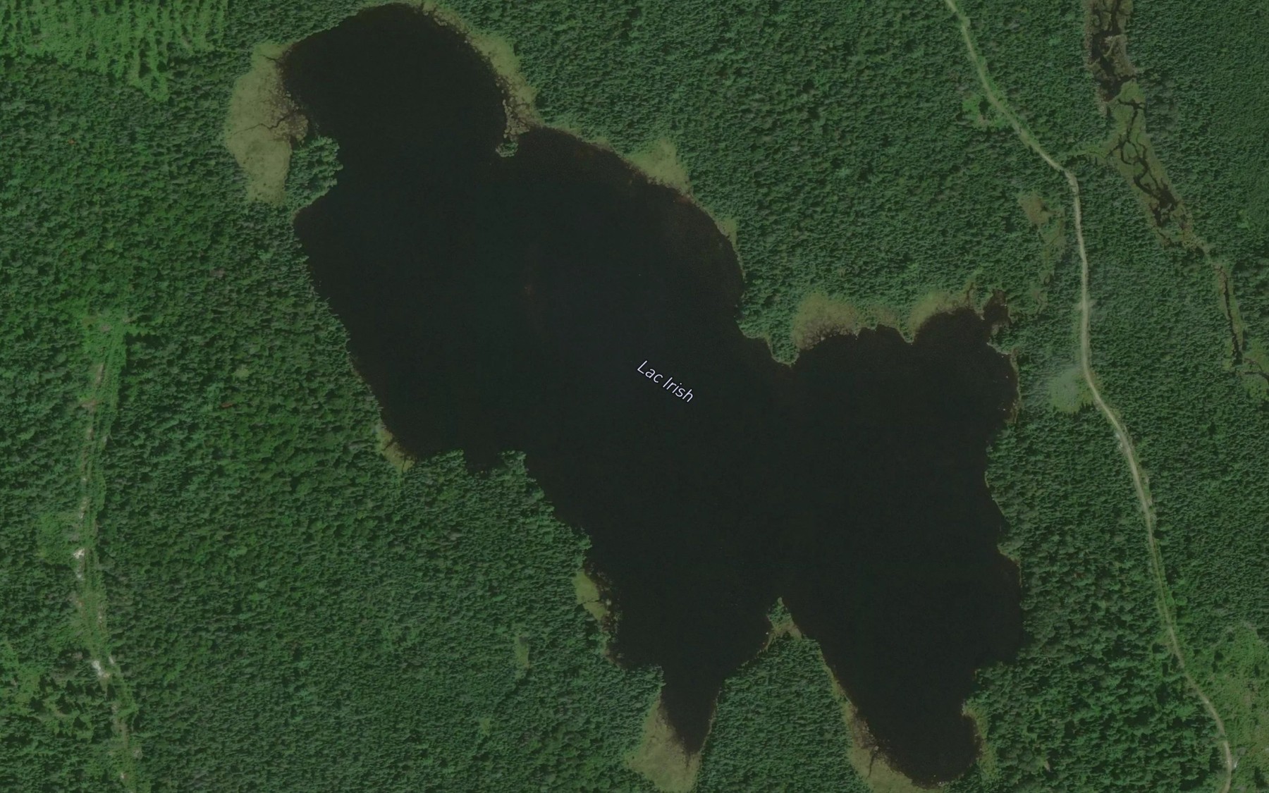 Satellite map of the Petit lac Irish