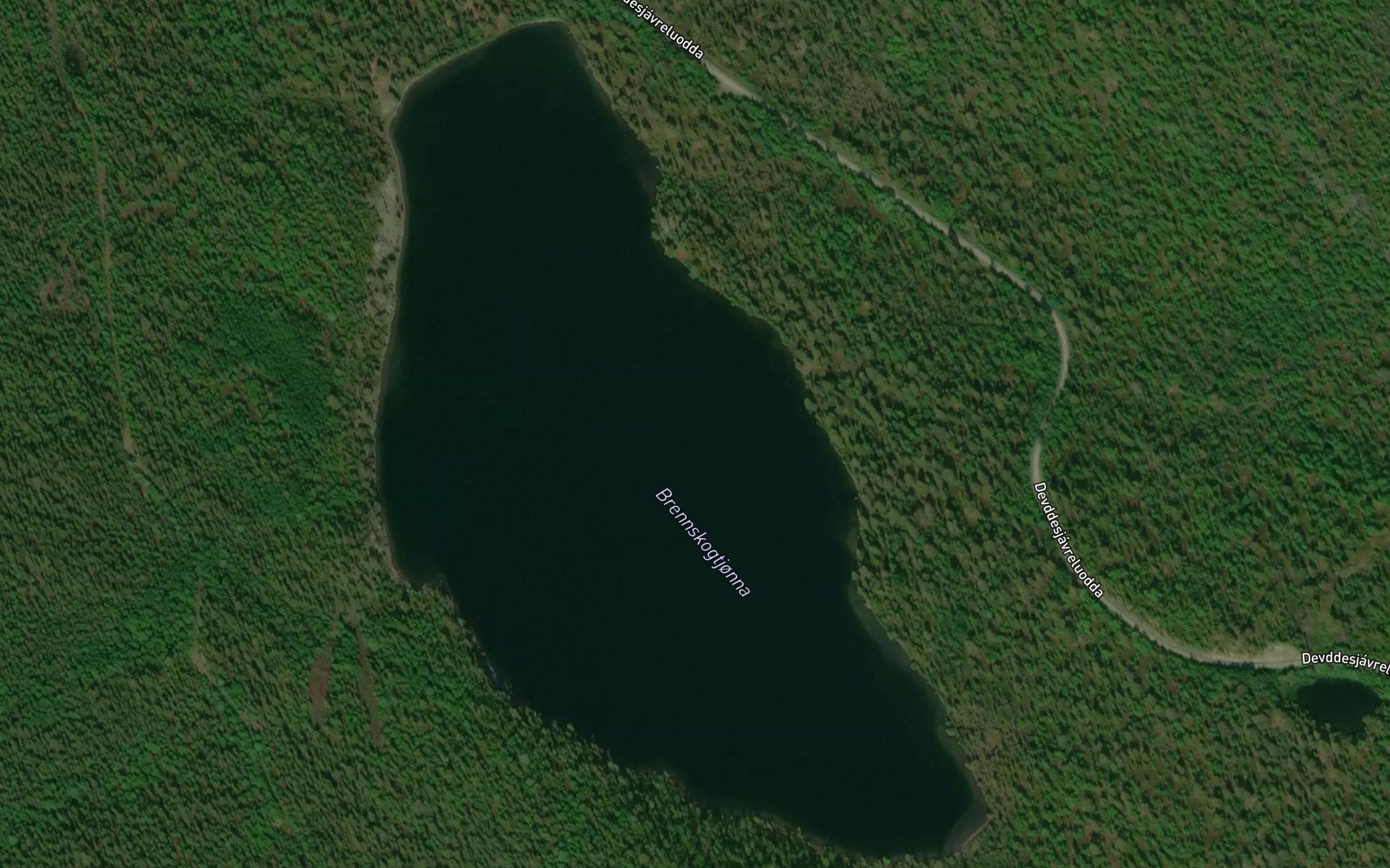 Brennskogtjonna