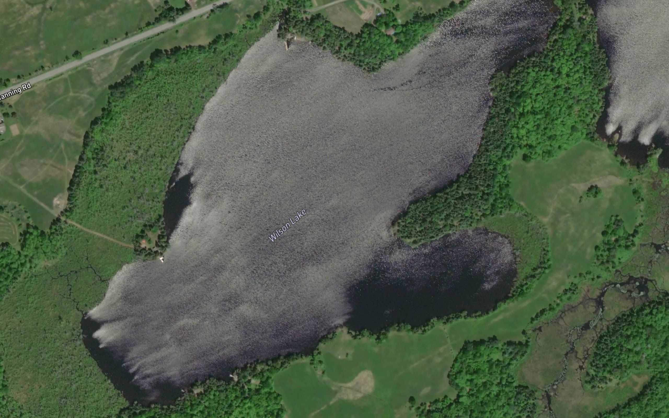 Wilson Lake