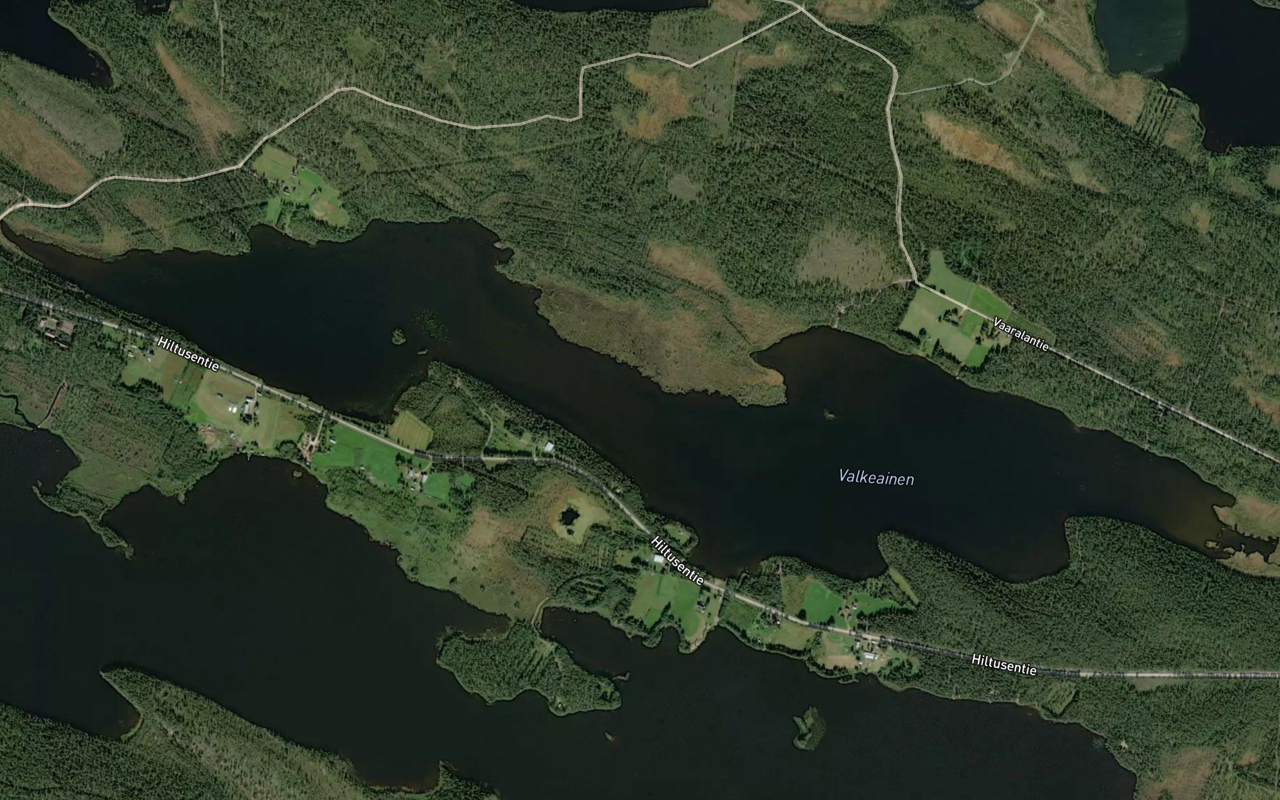 Valkeainen