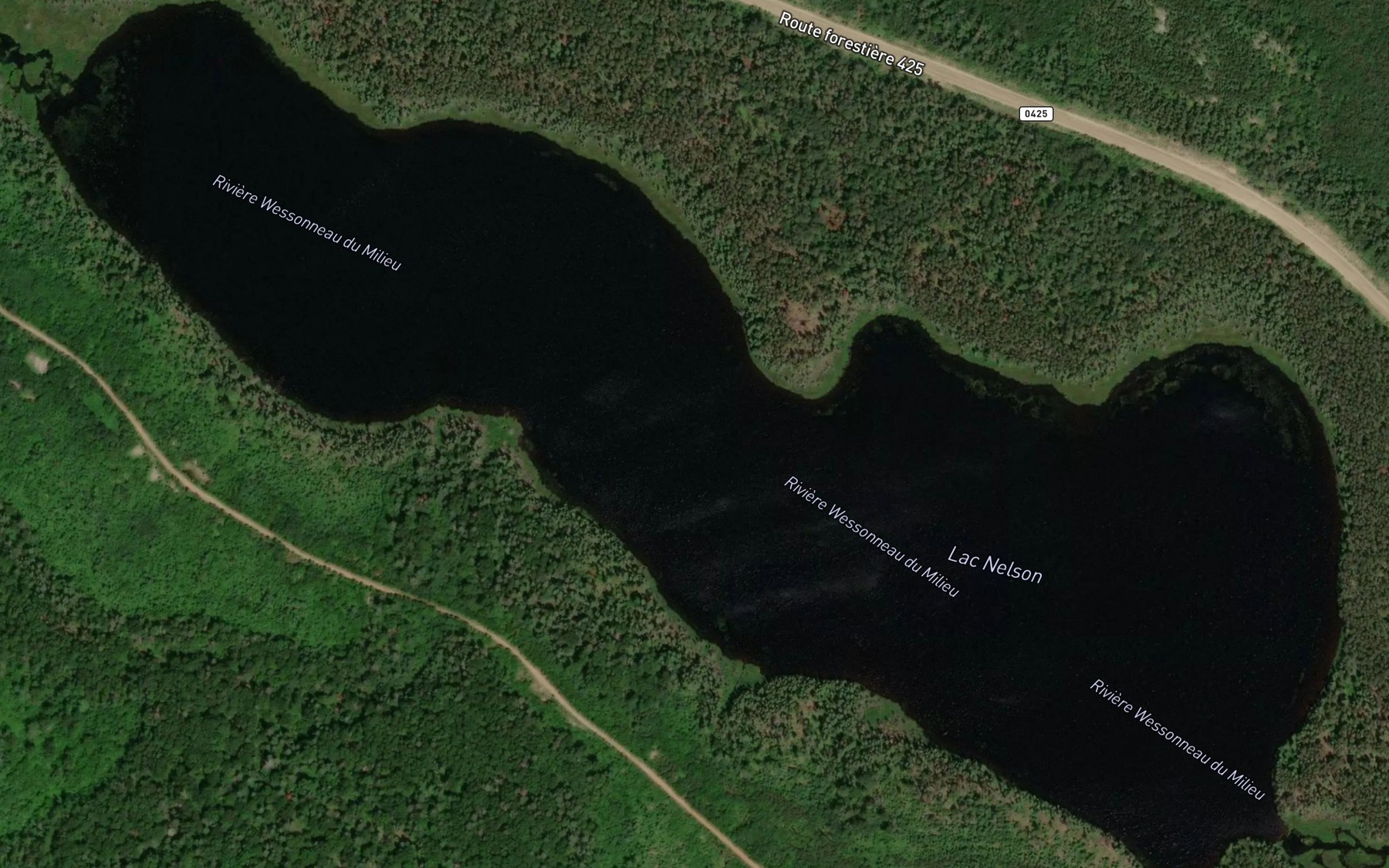 Satellite map of the Lac Nelson