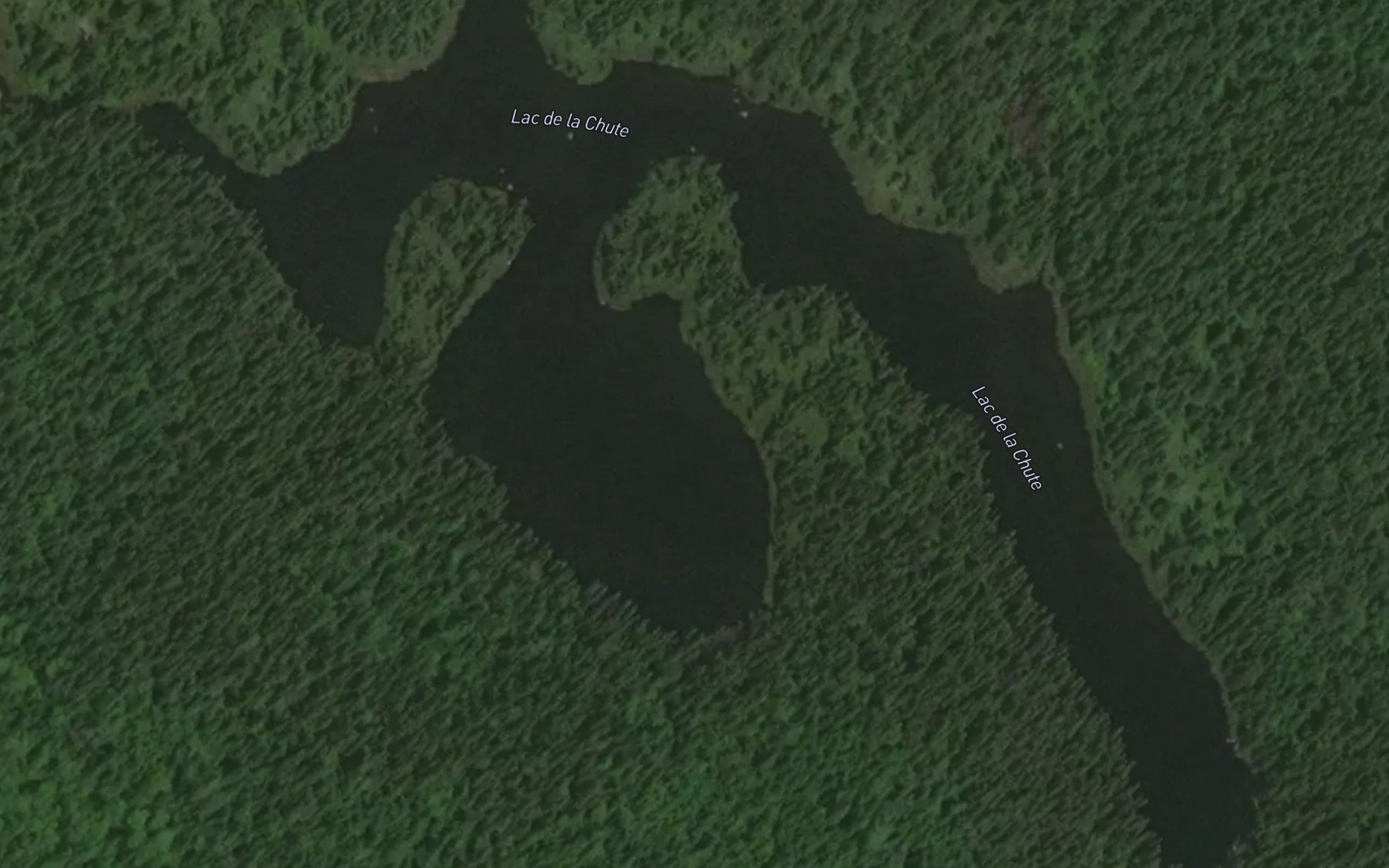 Satellite map of the Lac de la Chute