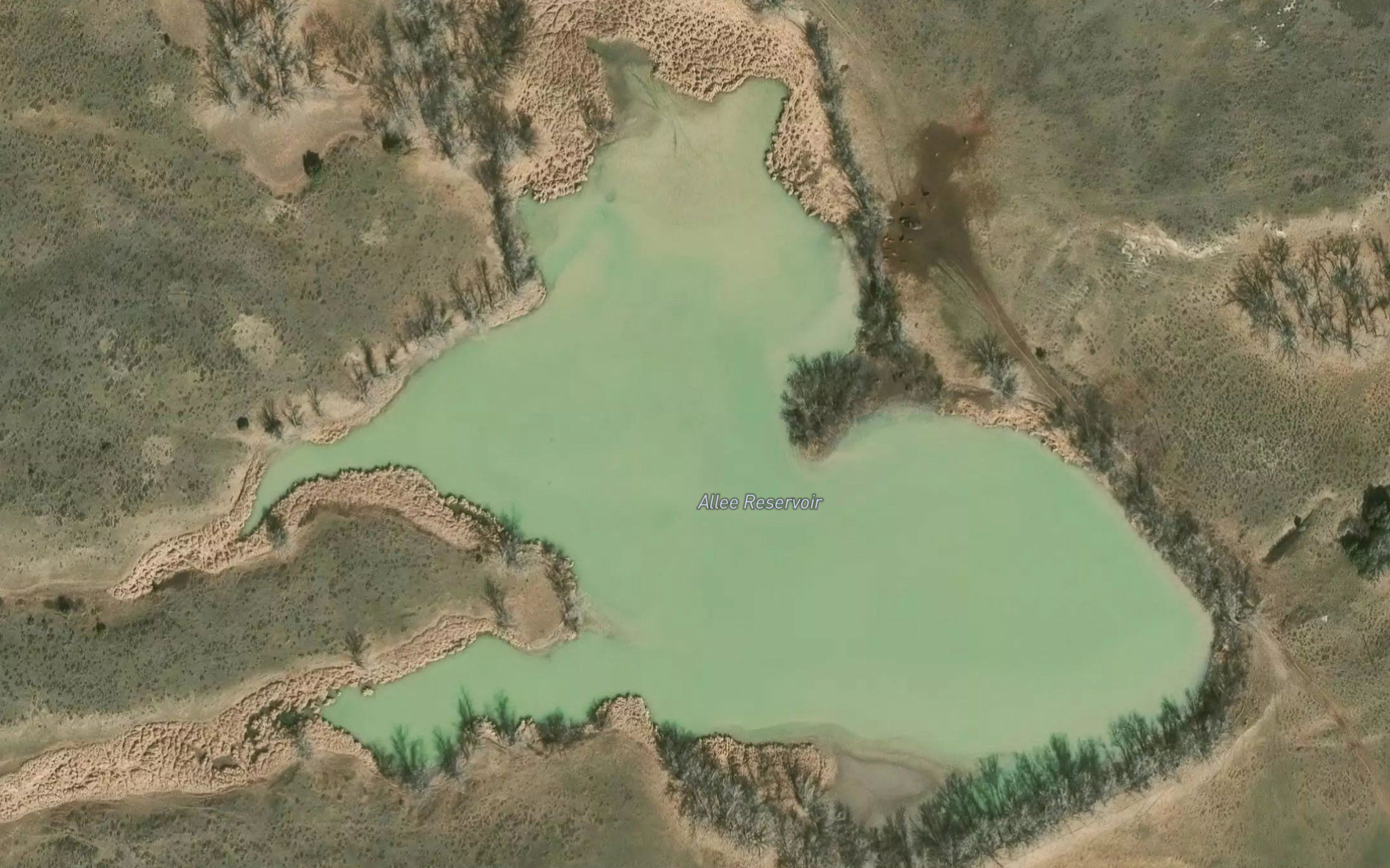 Allee Reservoir