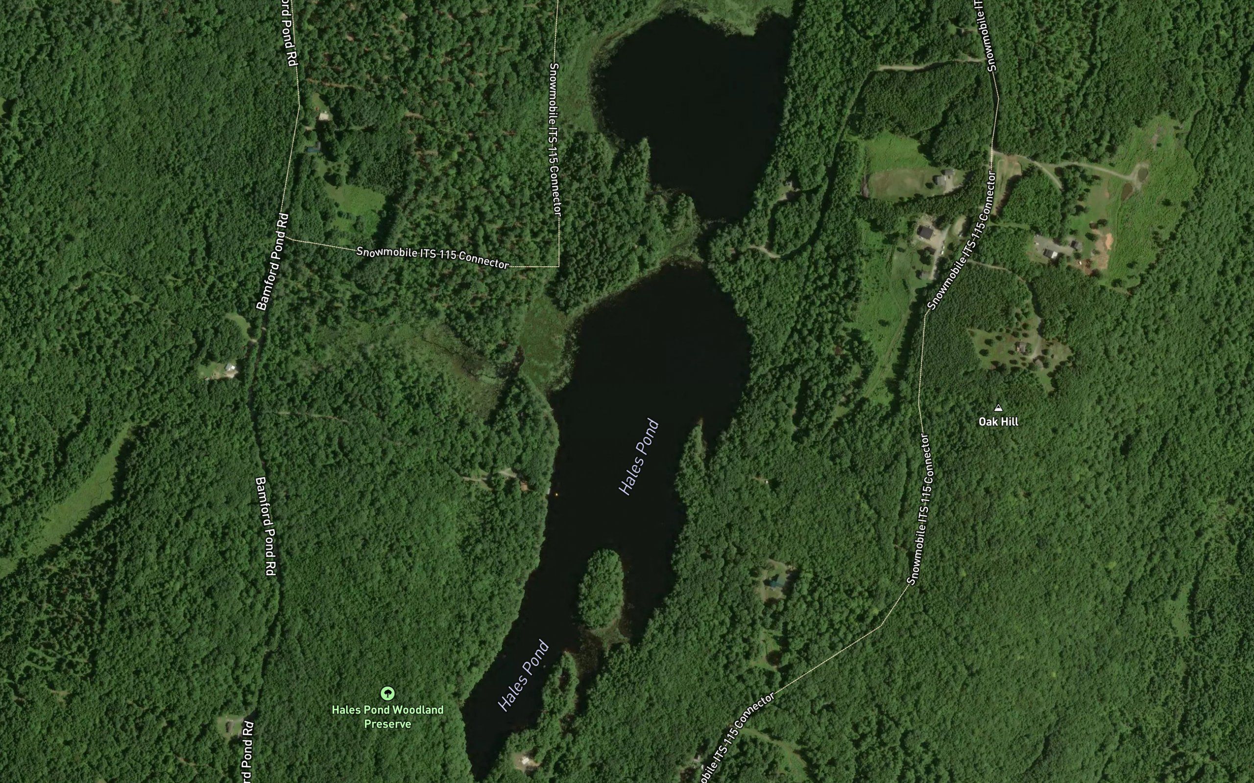 Hales Pond