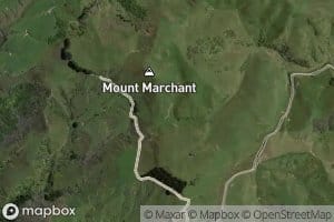 Mount Marchant Stream