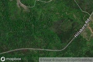 Beaverdam Creek