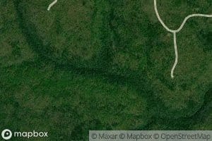 Marshall Fork Branch