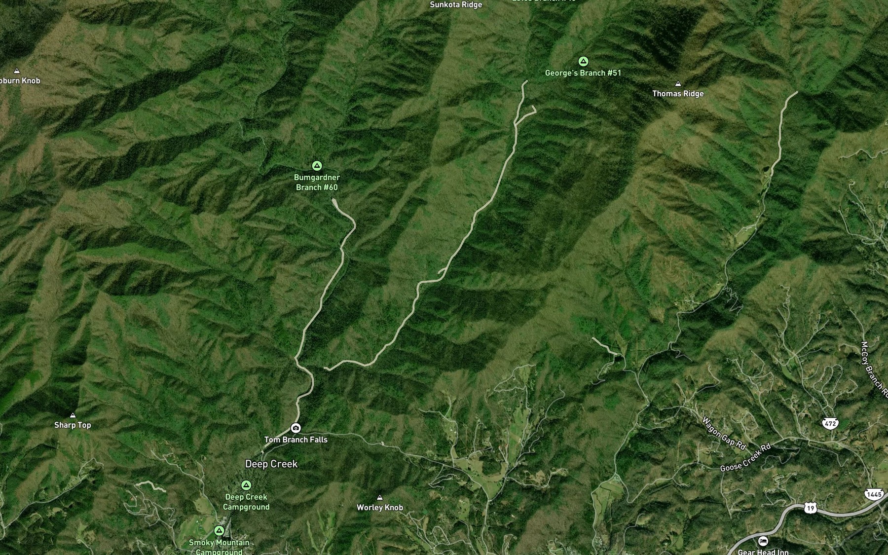Satellite map of the Queen Branch