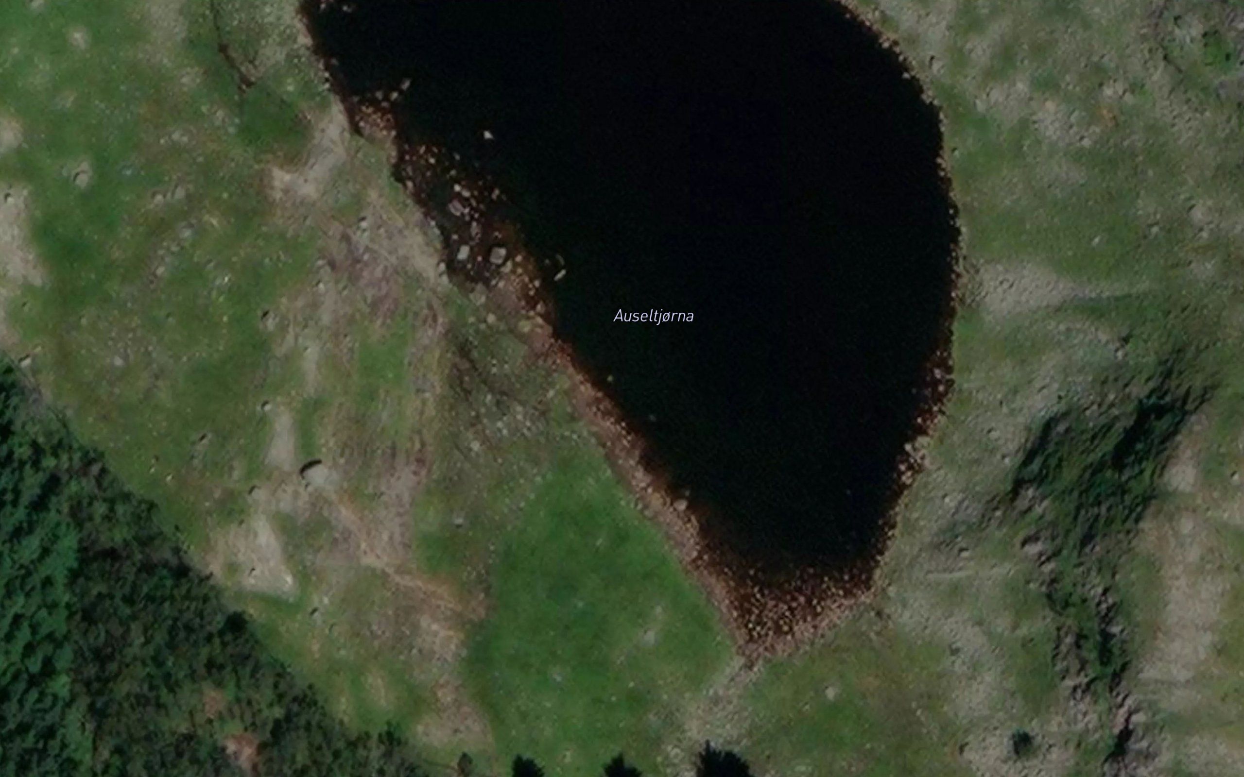 Auseltjorna
