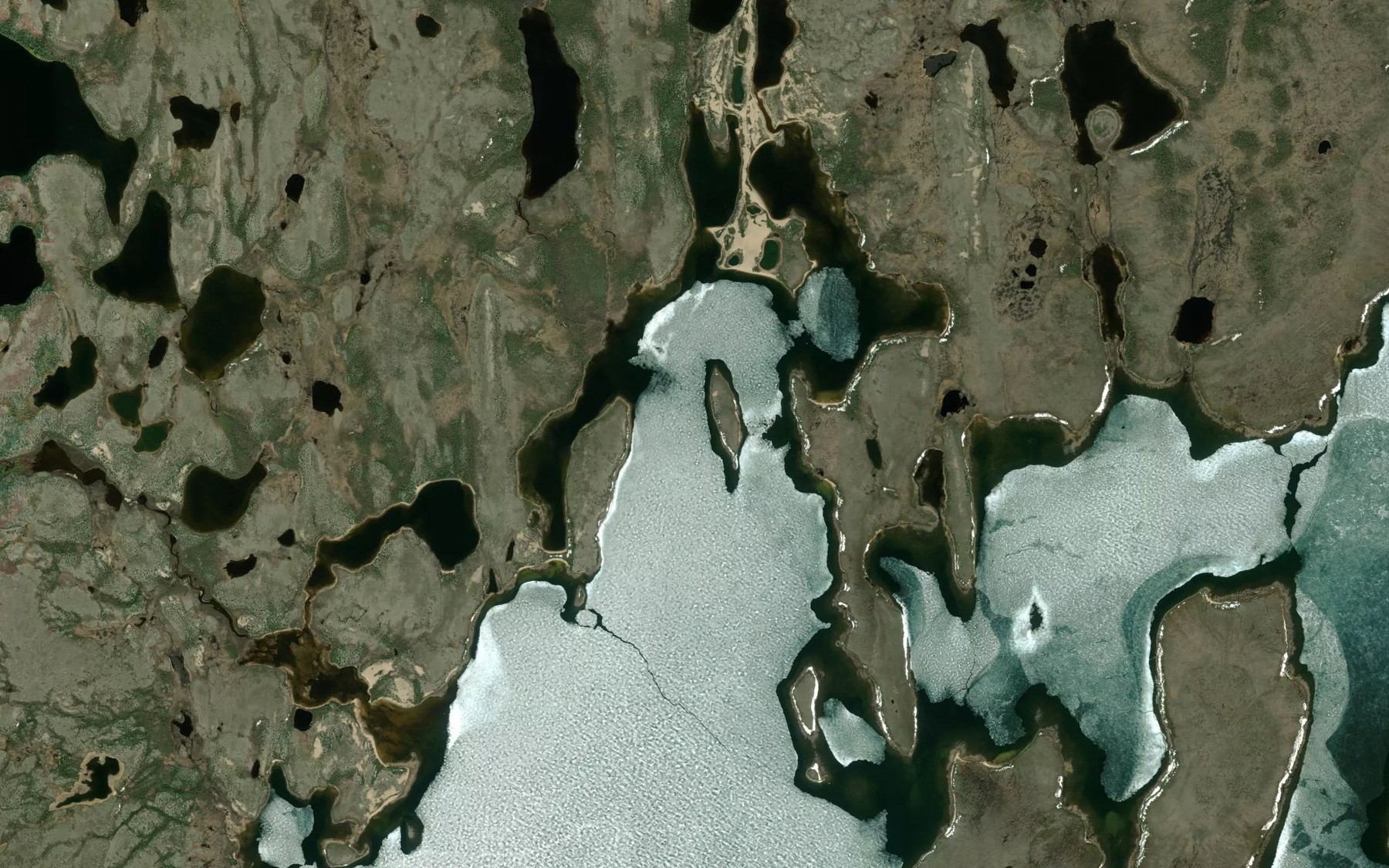 Satellite map of the Cache Bay