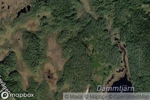 Dammtjarn