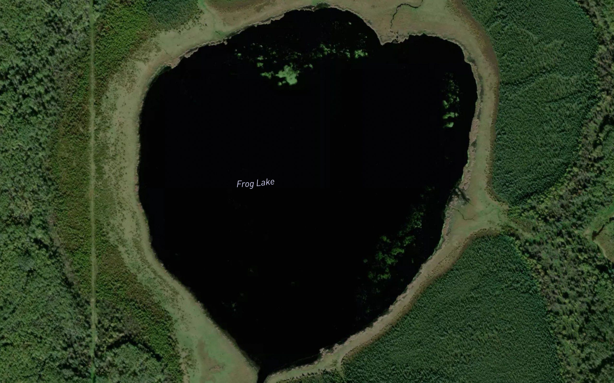 Frog Lake
