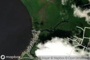 Bayou Marcus