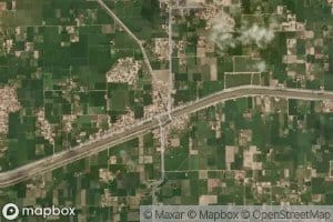 Shah Din Distributary