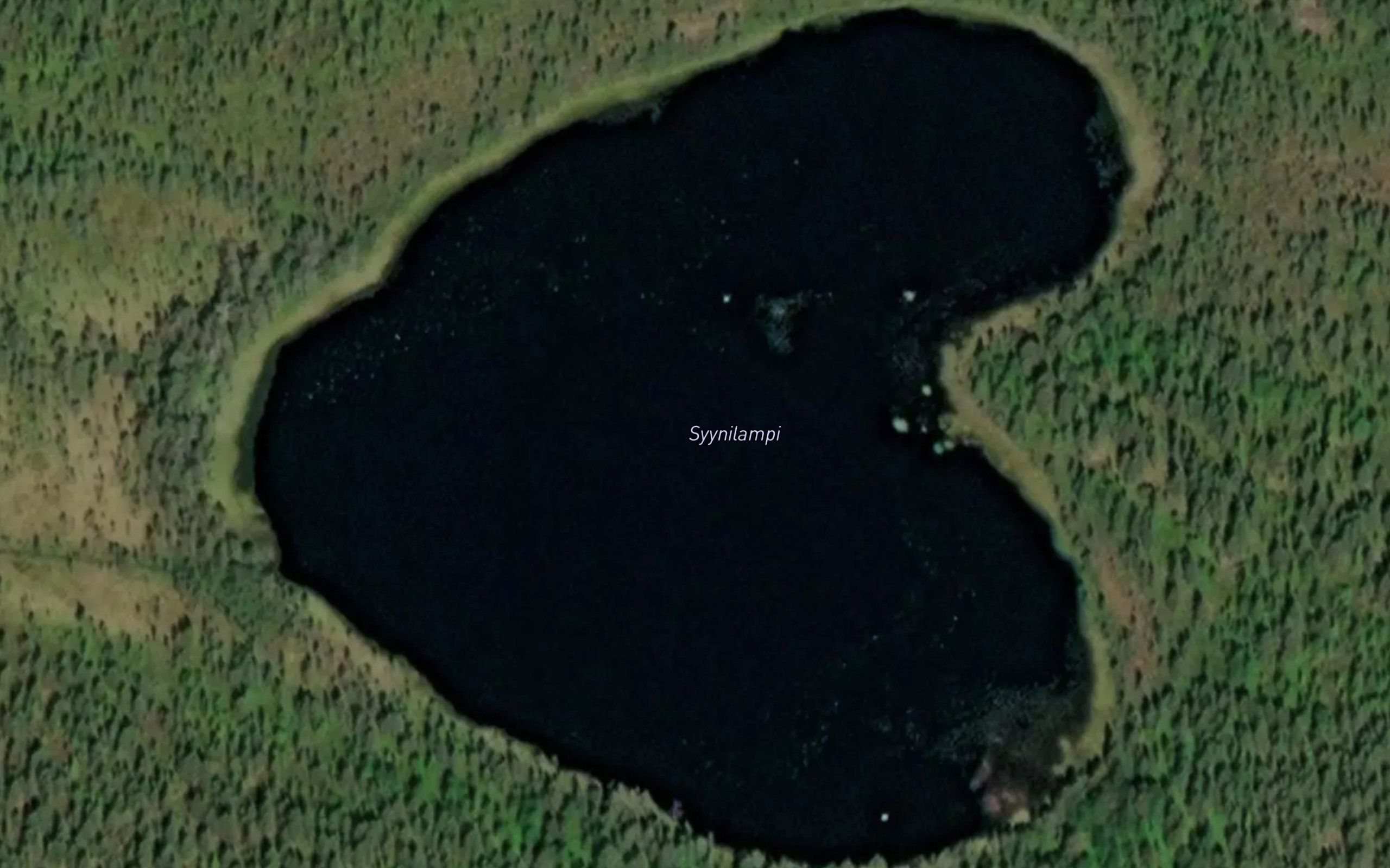 Syynilampi