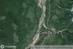 Cano de Oro