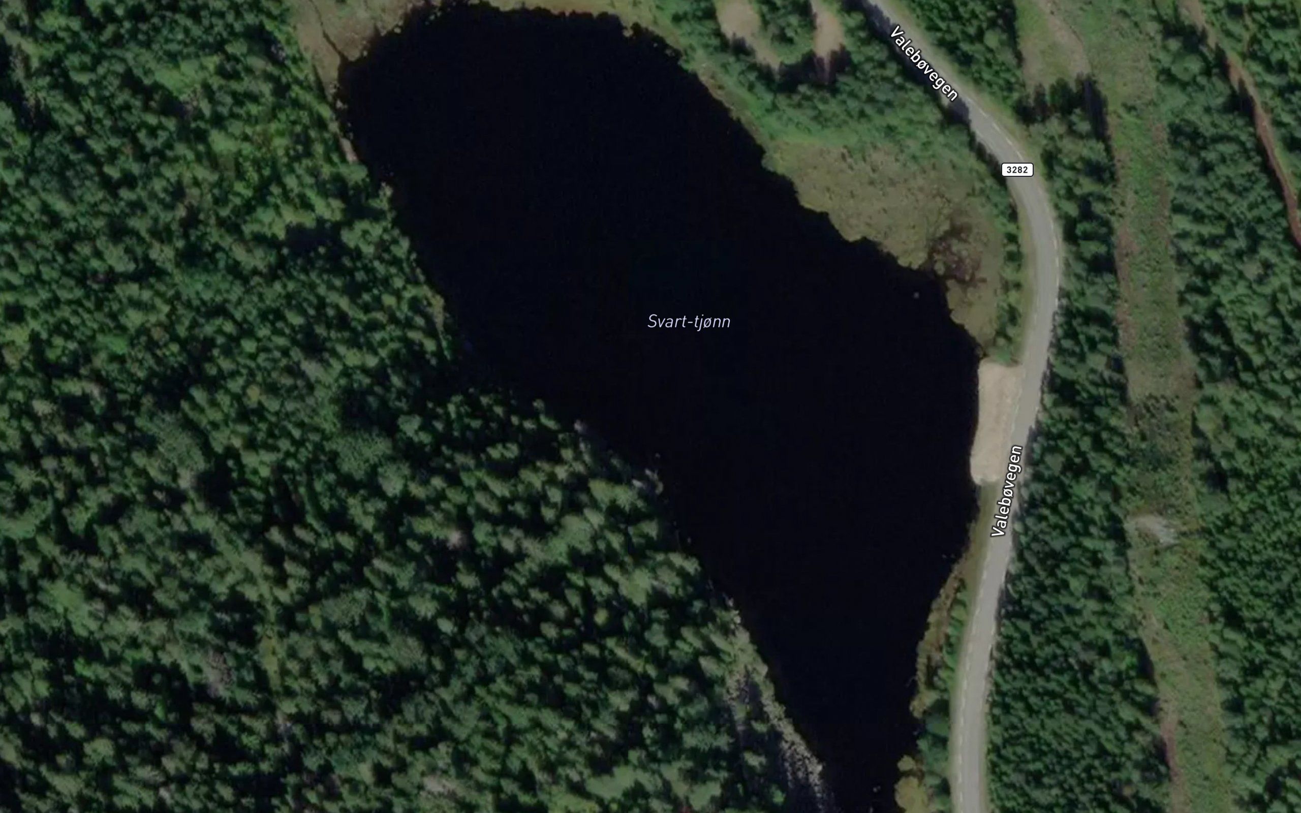 Svart-tjonn